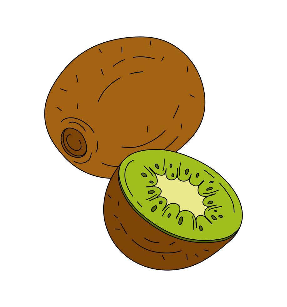 Kiwi doodle linear Vector color illustration isolated on white background