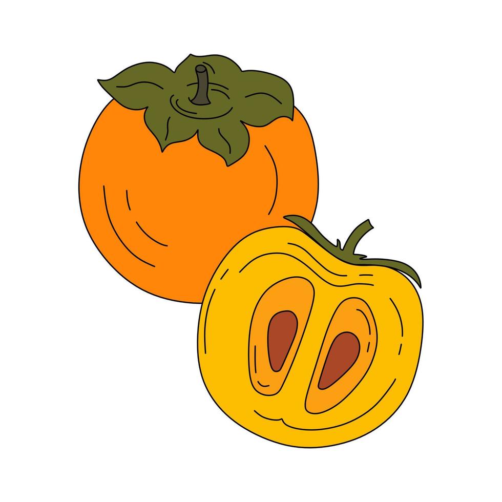 Persimmon doodle linear vector color illustration isolated on a white background