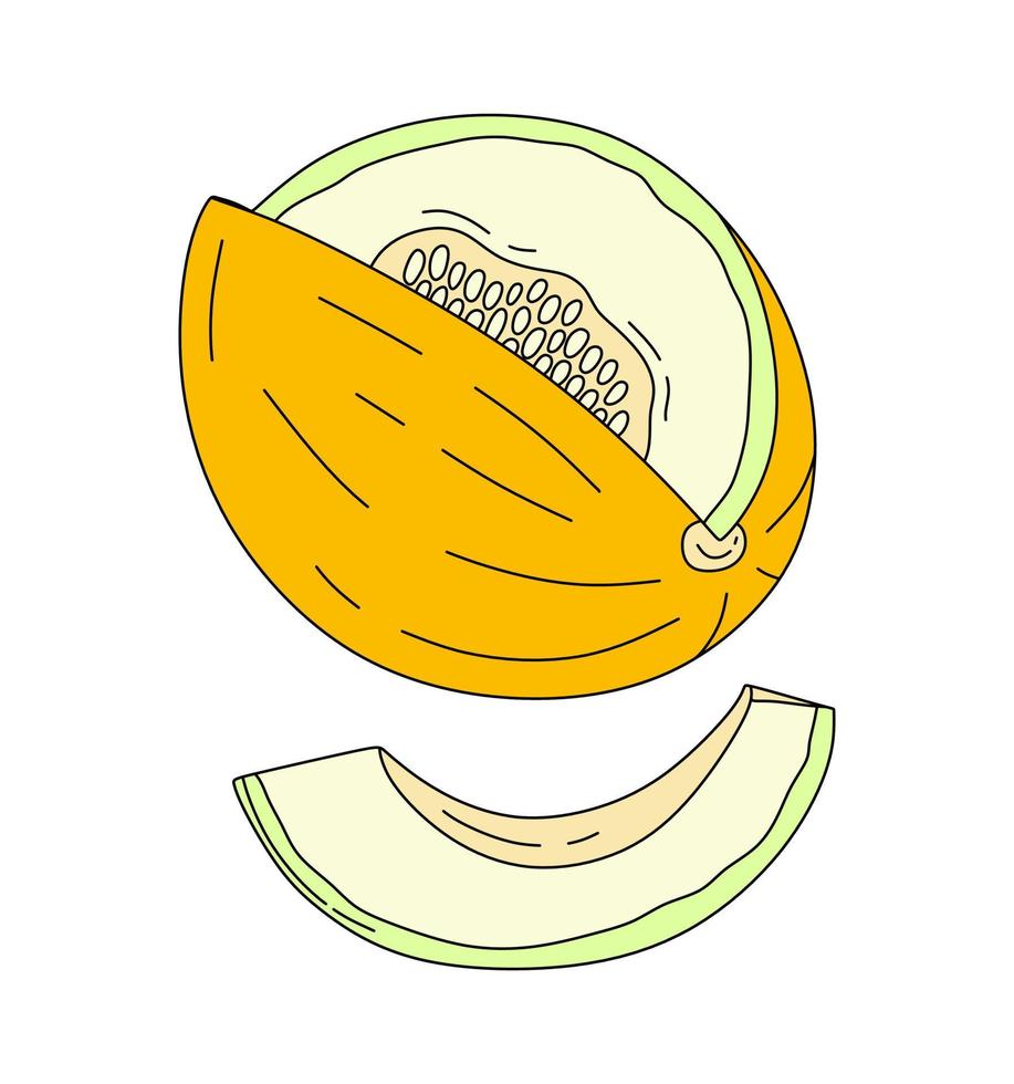 Melon doodle Vector color illustration isolated on white background