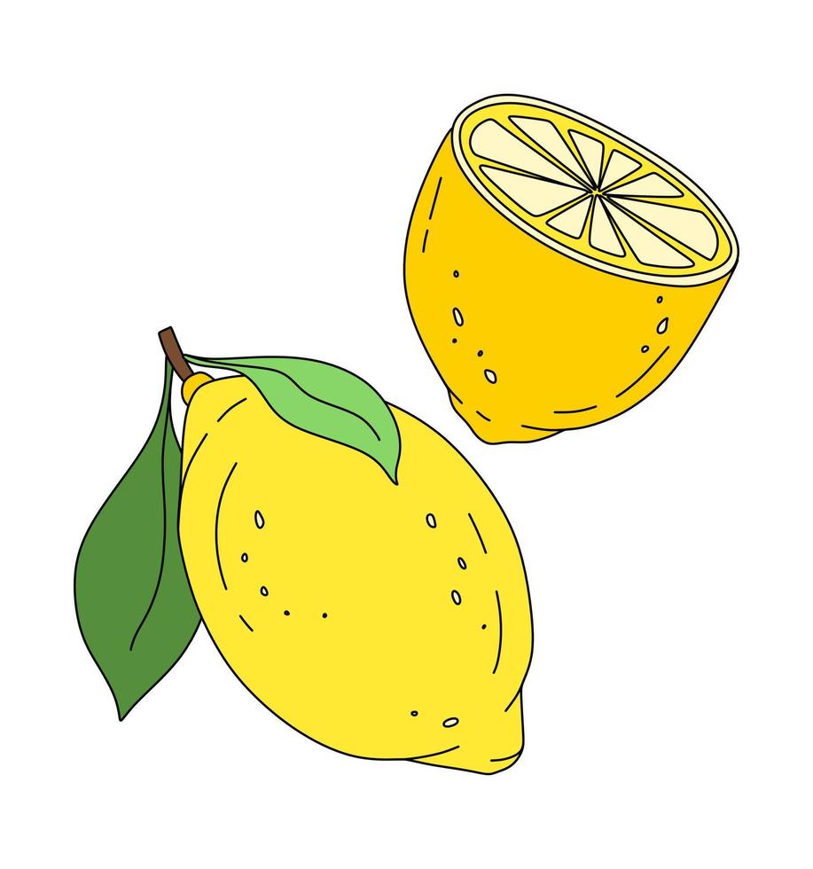 Lemon doodle Vector color illustration isolated on white background