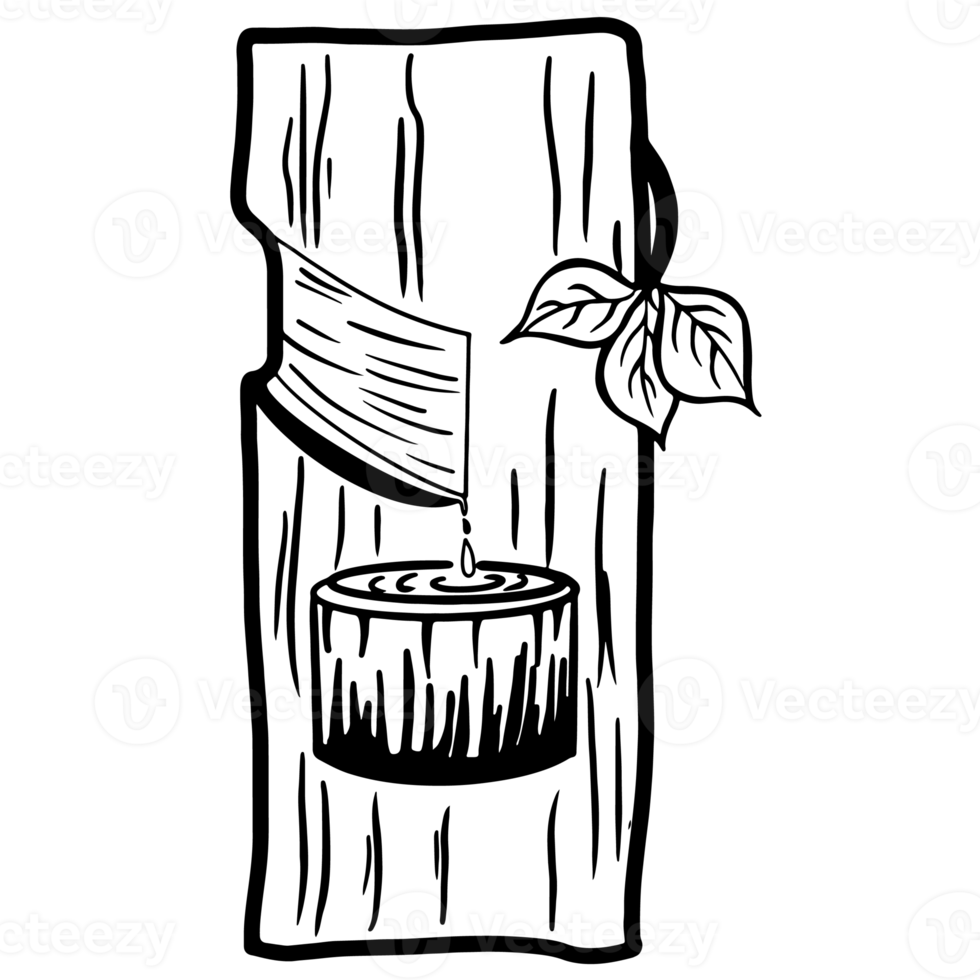 natural látex gotejamento a partir de uma borracha árvore agricultura contorno, agricultura plantar, jardinagem, agricultura png
