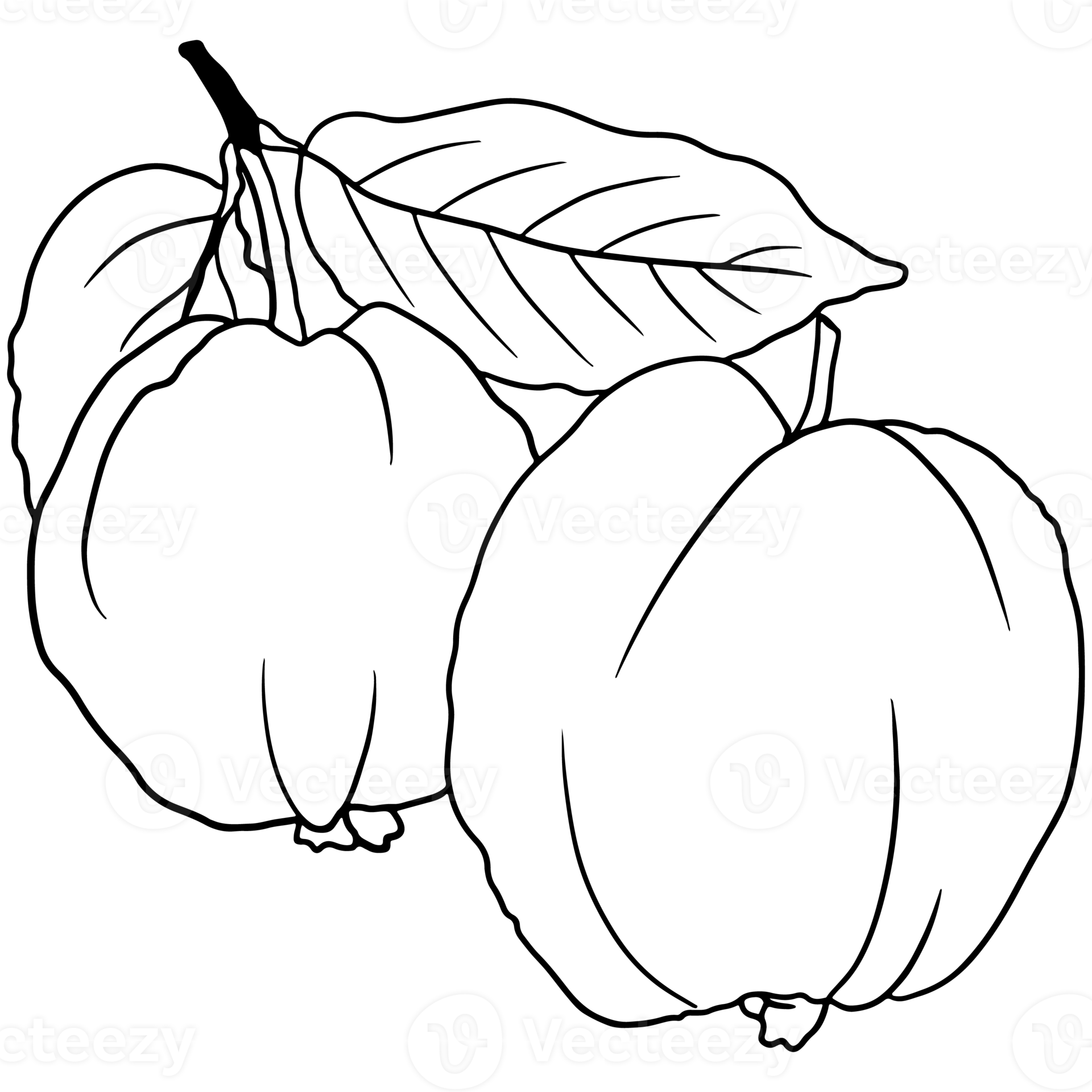 fruit guava farming outline, Agriculture plant, Gardening, farming