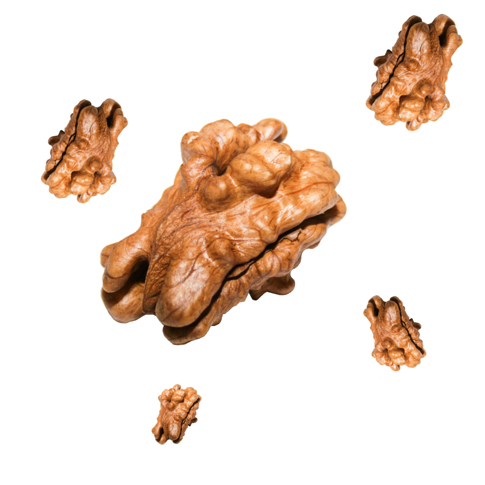 Photo walnut. walnut kernel. nut isolated PNG full HD