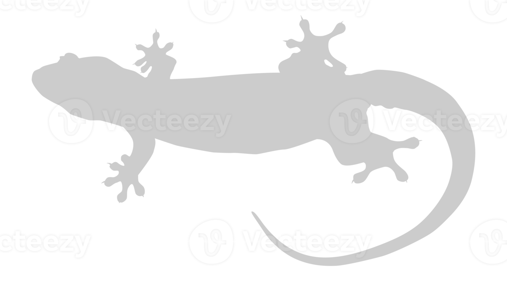 House Lizard also called House Gecko or Gekkonidae Silhouette for Art Illustration, Logo, Pictogram or Graphic Design Element. Format PNG