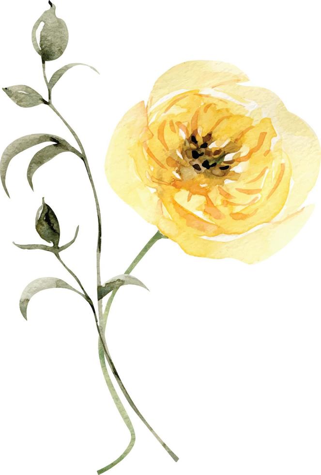 Watercolor illustration of a bouquet with a yellow flower, for postcards and design. vector