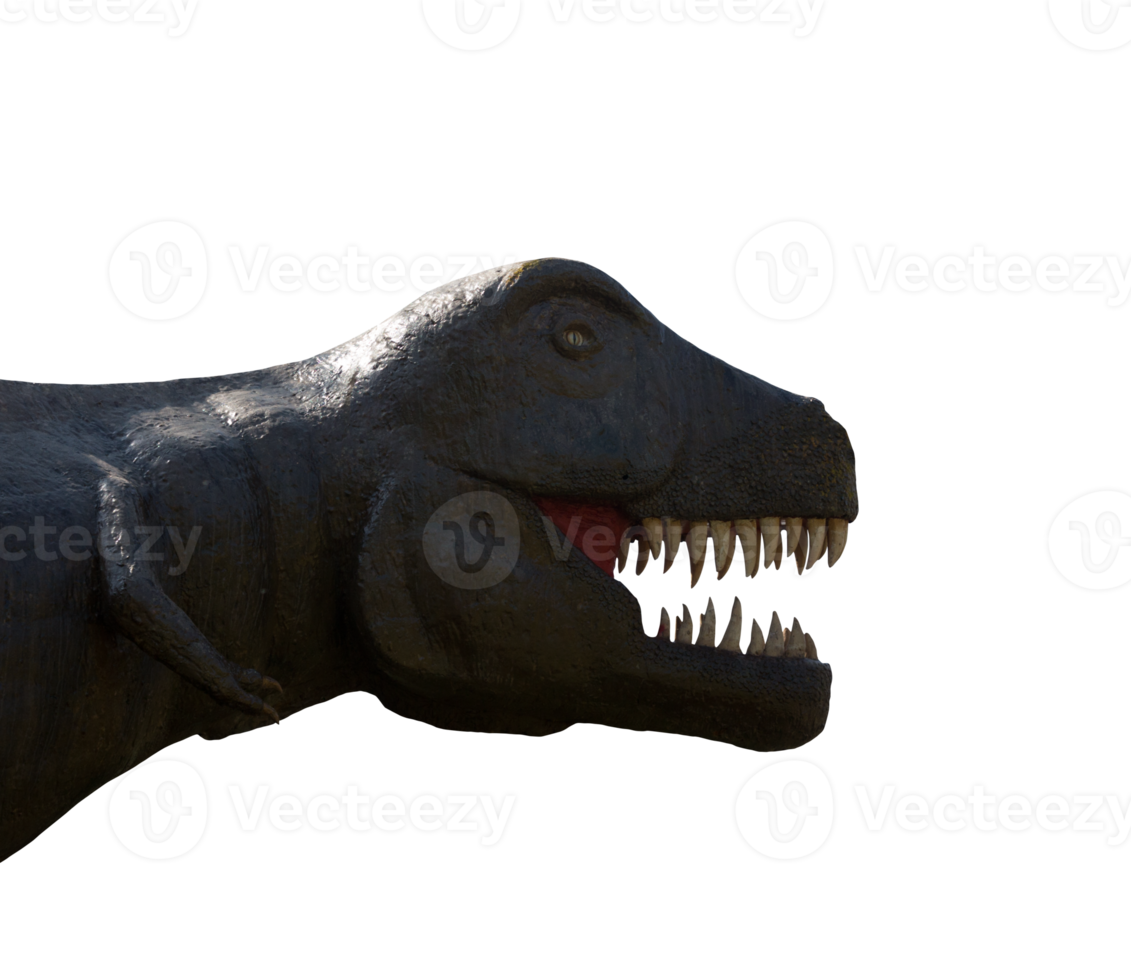 Isolated big prehistoric tyrannosaurus dinosaur with opened mouth png