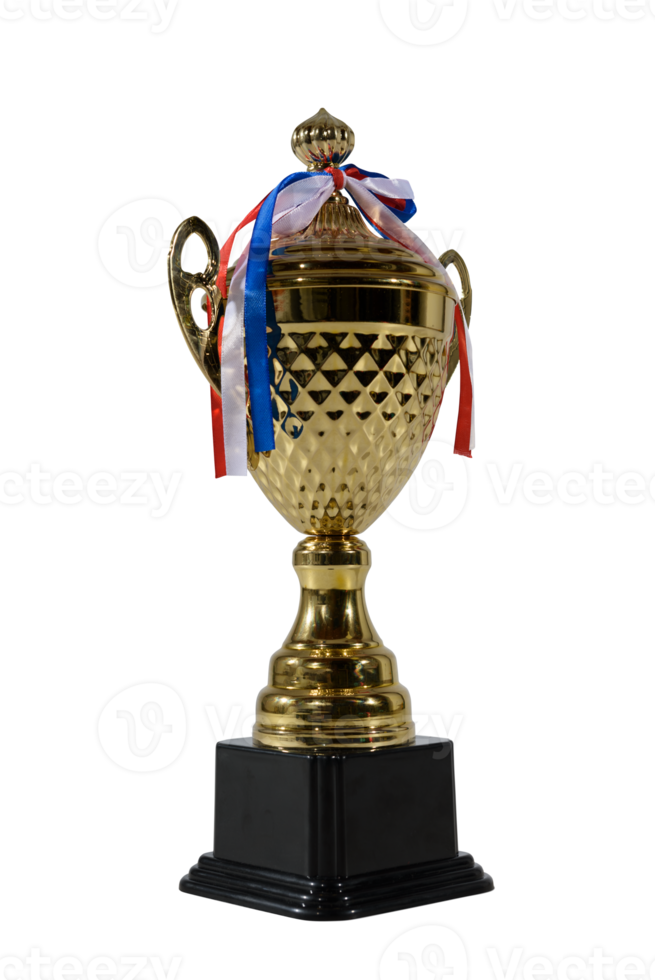 geïsoleerd gouden voetbal trofee van Amerikaans voetbal sport png