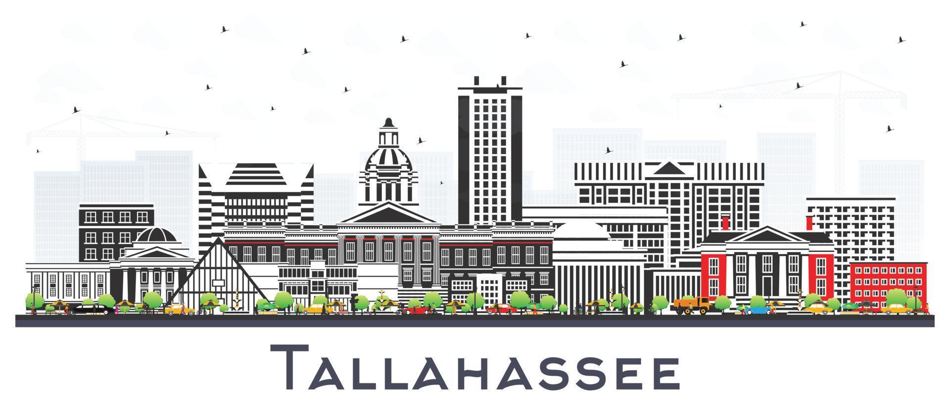 Tallahassee Florida City Skyline with Color Buildings Isolated on White. Vector Illustration. Tallahassee Cityscape with Landmarks.