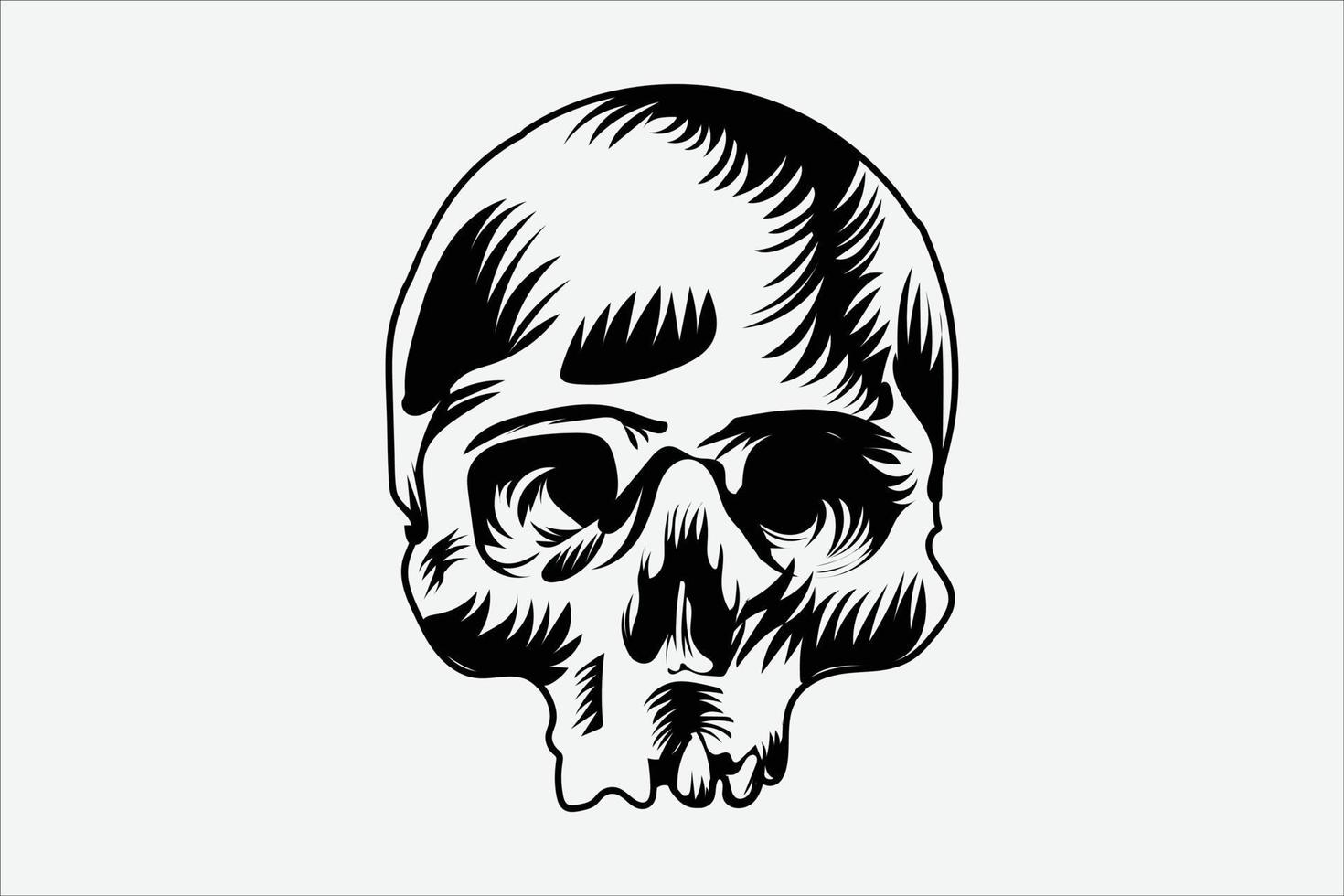 Vintage Human Skull Vector