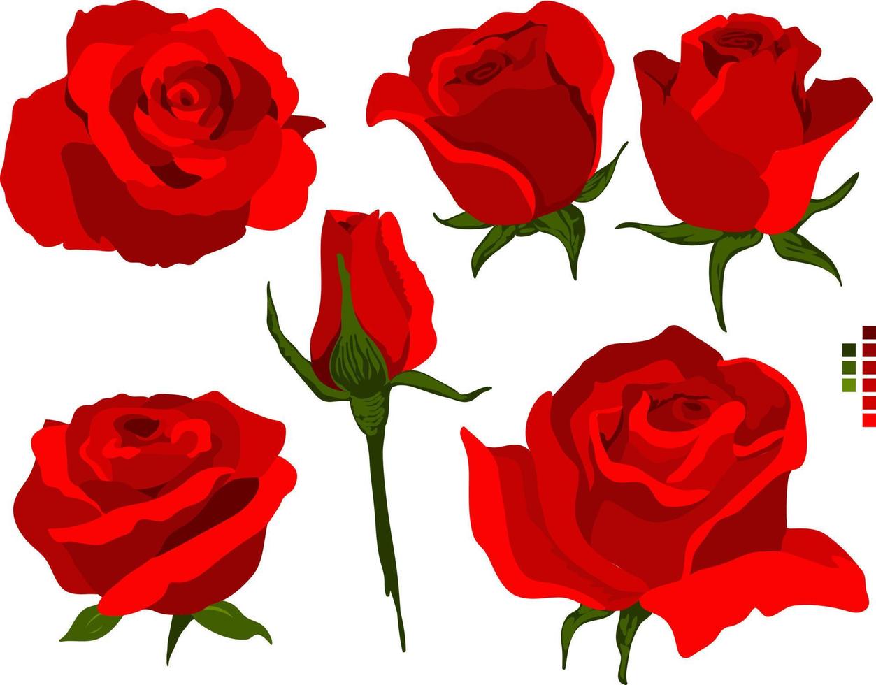 red rose flower bundle vector set