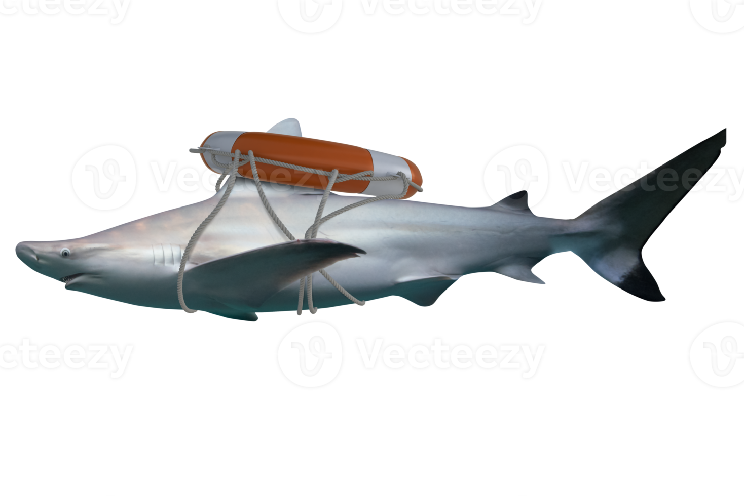 その他 shark predator &#39;23 ljkmgfekrawssk3htsug.jpg