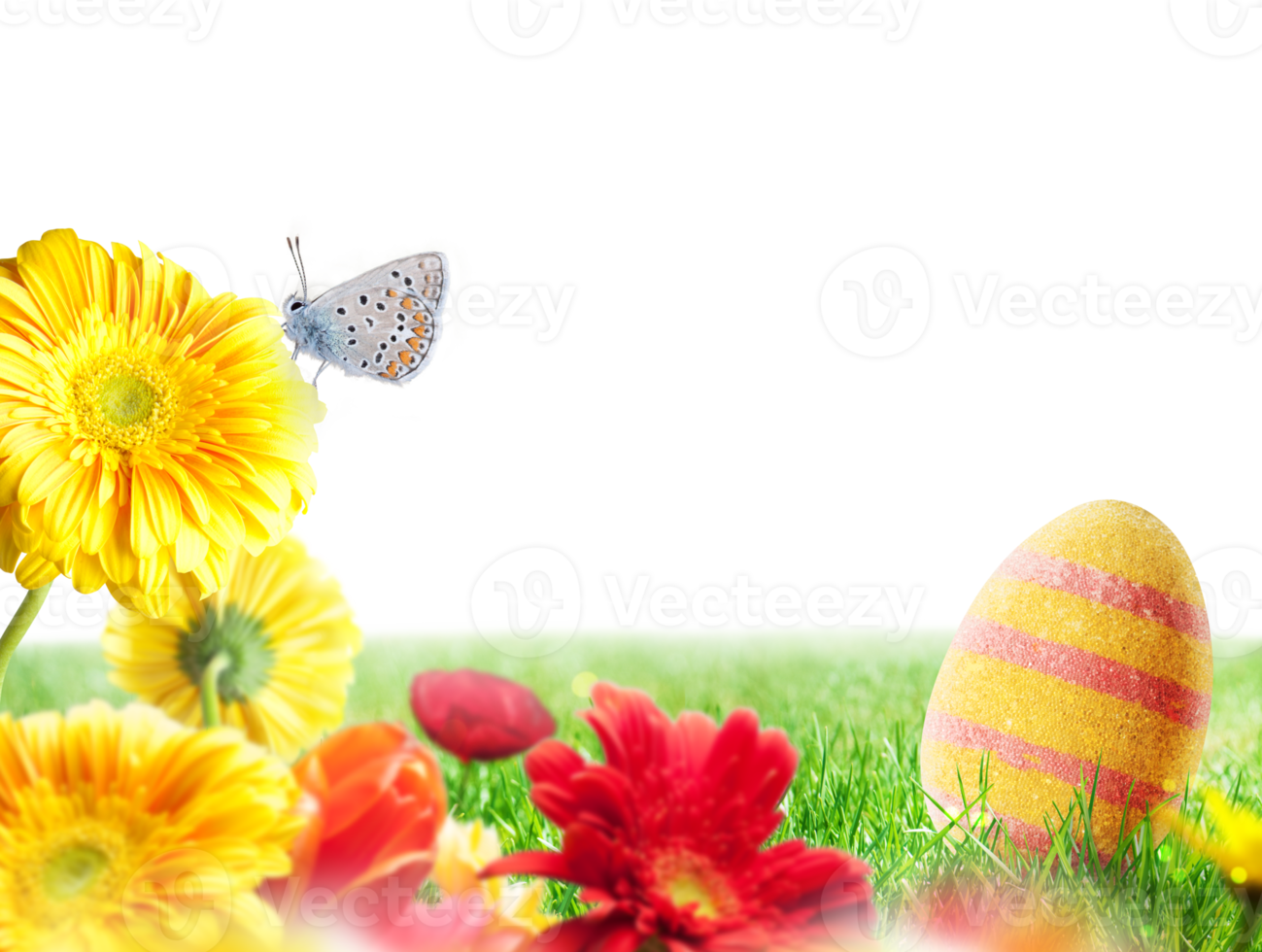 Easter decorations with eggs and flowers on a fresh green field png