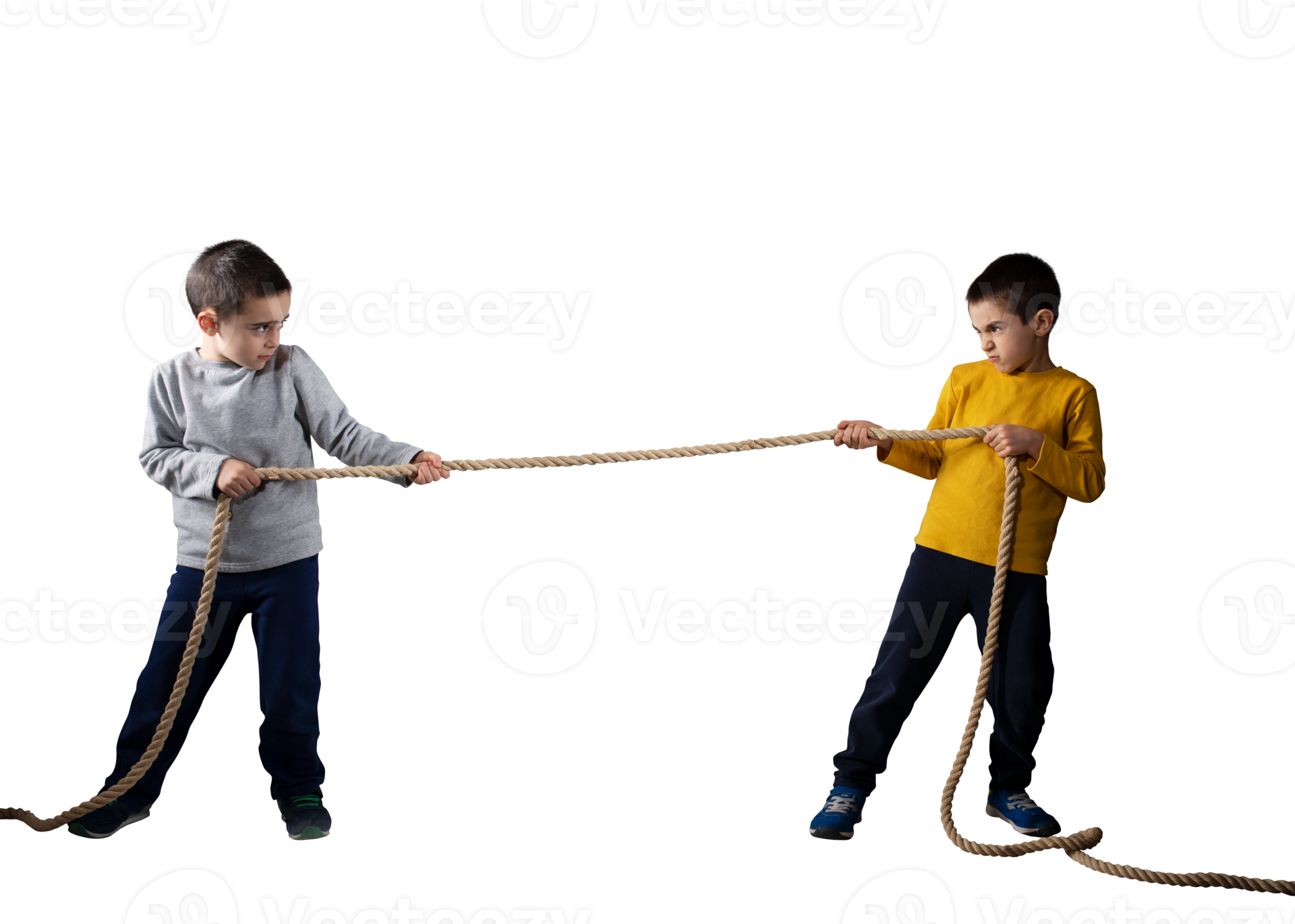 Rivalry of two brothers who have a contest with a roped 21084905 PNG