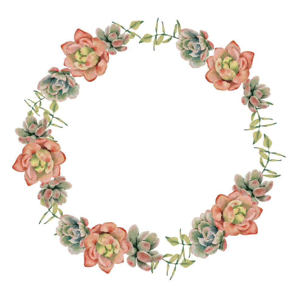 watercolor succulent pland and flower bouquet wreath frame isolated on white background vector