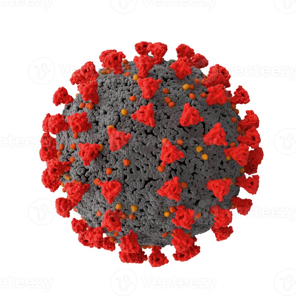 beeld van de structureel morfologie van de coronavirus gezien onder een microscoop png