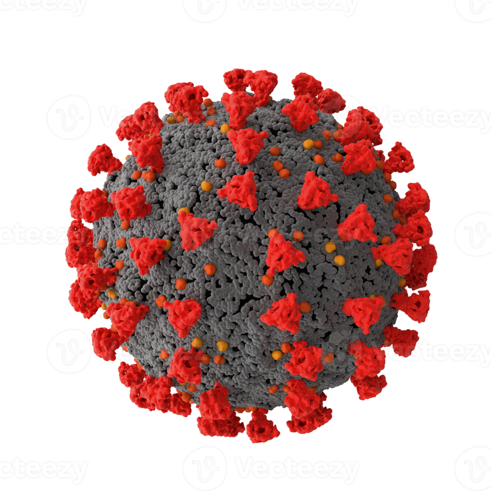 Image of the structural morphology of the coronavirus seen under a microscope png