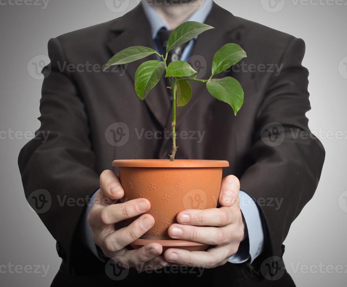Businessman is holding a plant in pot photo