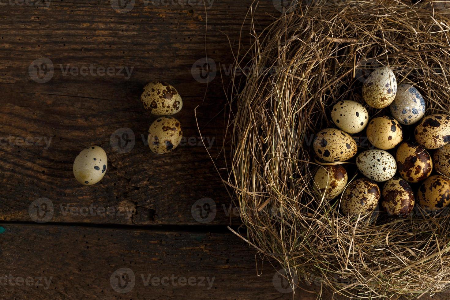 codorniz huevos en un nido en un de madera rústico antecedentes foto