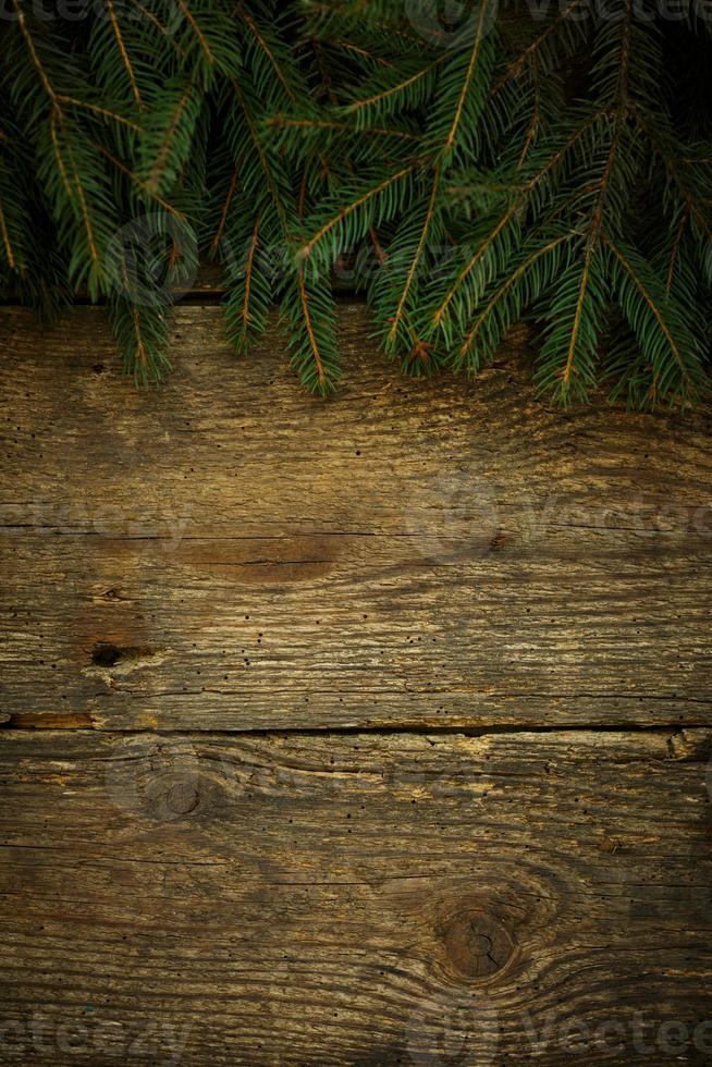 Christmas tree branches on wooden texture photo