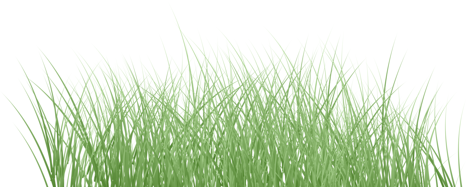 spring grass png