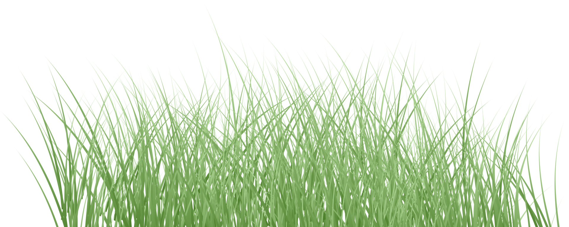 spring grass png 21095356 PNG