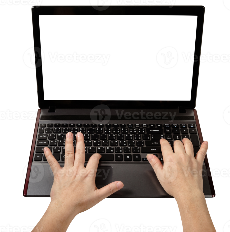 Woman using laptop isolated png