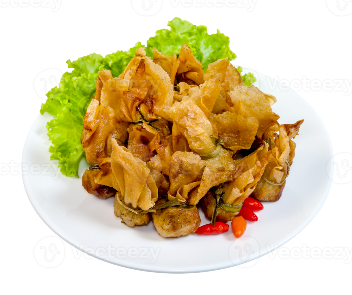 fried wonton or Toong Tong isolated png