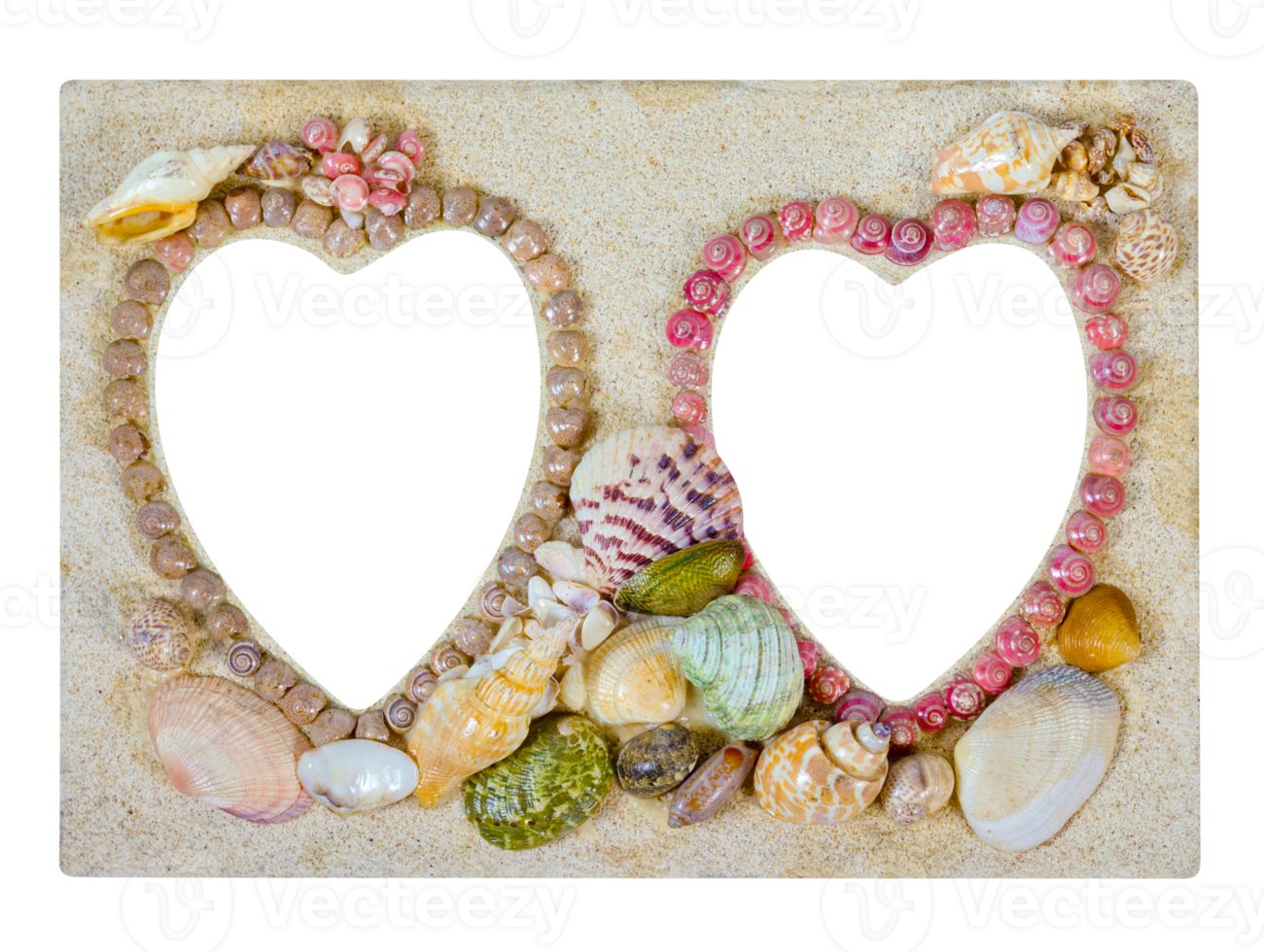 Picture frame made from sea shell isolated png