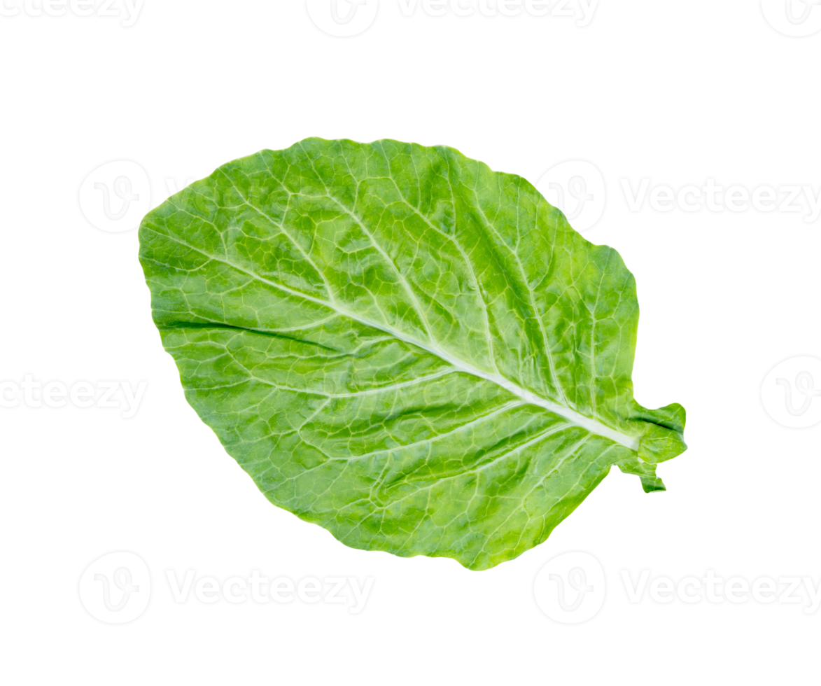 bladeren van collards geïsoleerd png