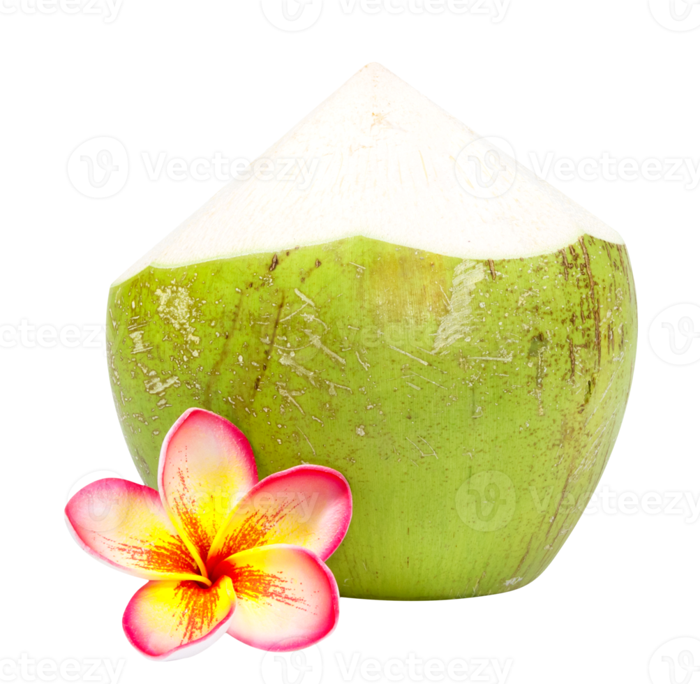 noix de coco l'eau boisson avec plumeria isolé png