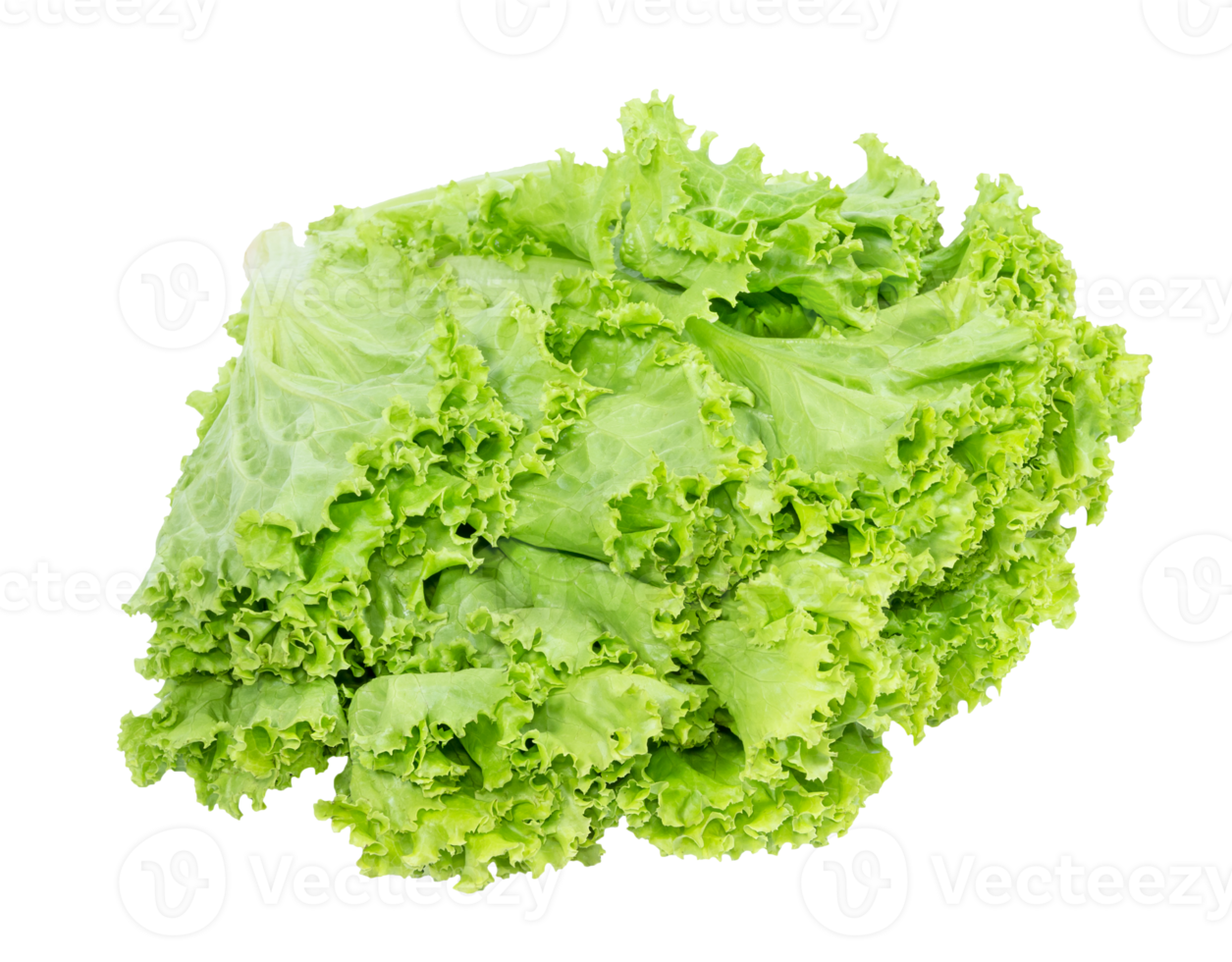 Grüner Salat Blatt isoliert png