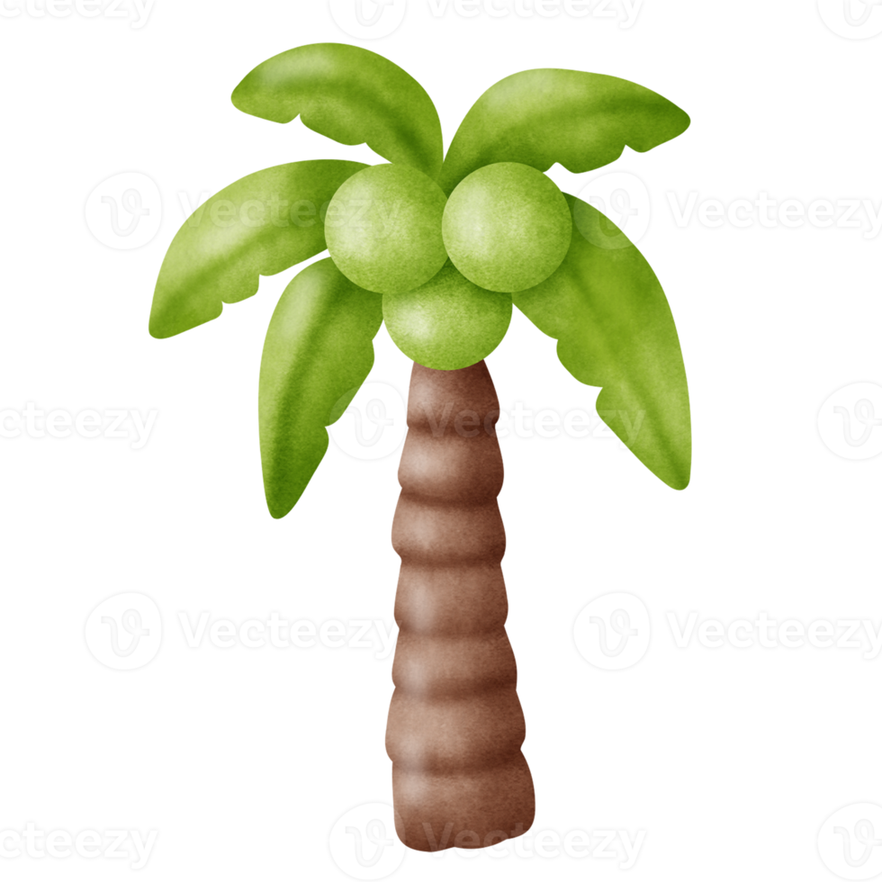 boom palm in waterverf stijl . png