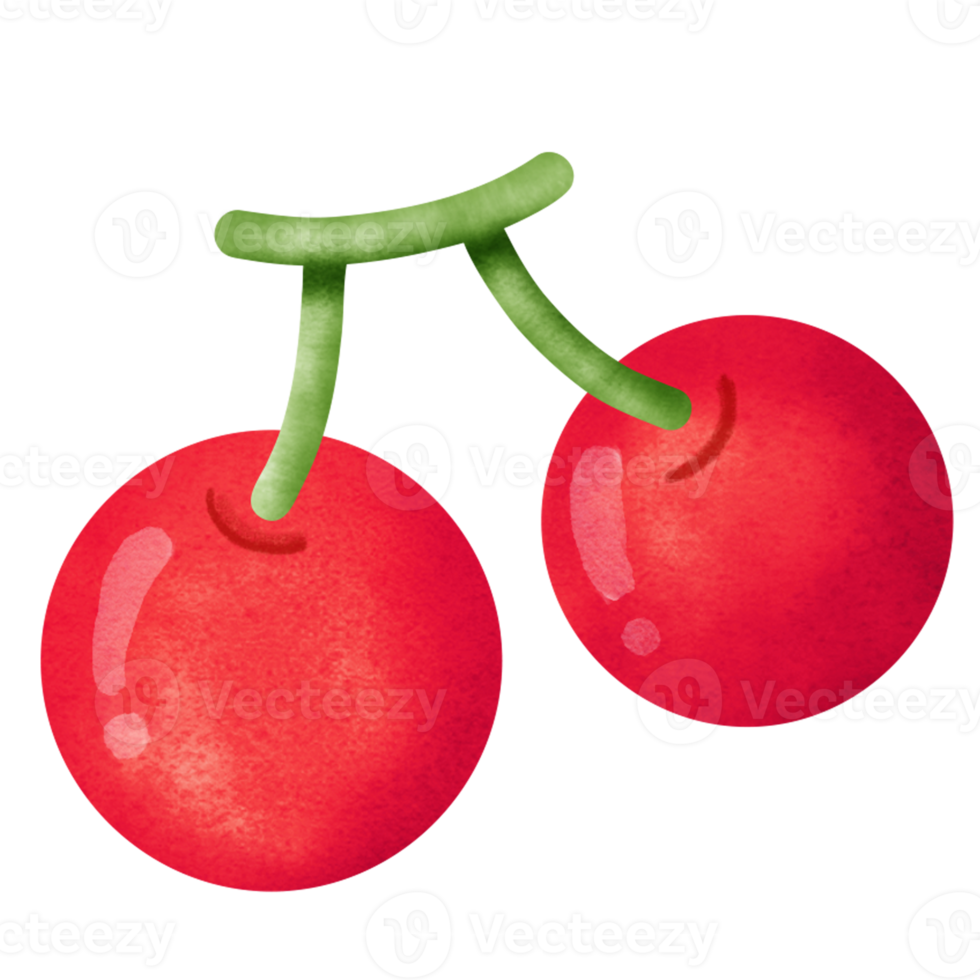 Watercolor cherry clipart. png