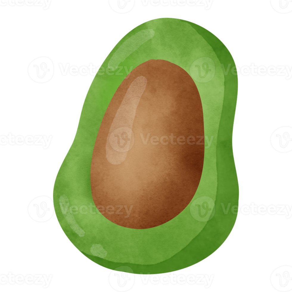 acquerello avocado clipart. png