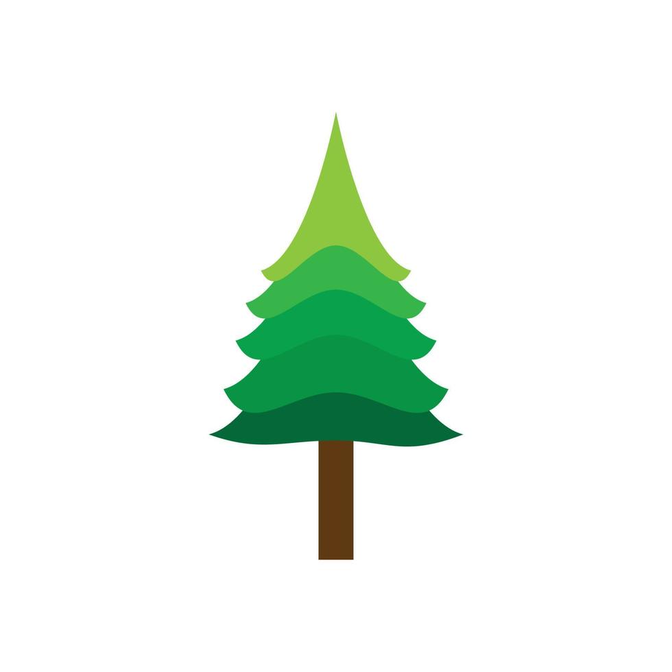 Pine tree illustration vector