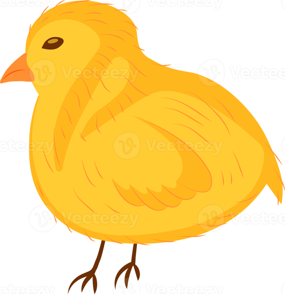 pequeño amarillo pollo png