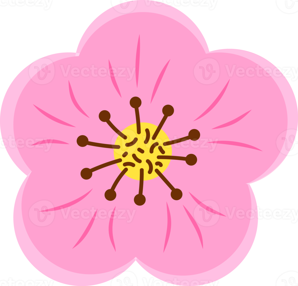 Pink Cherry Flower png