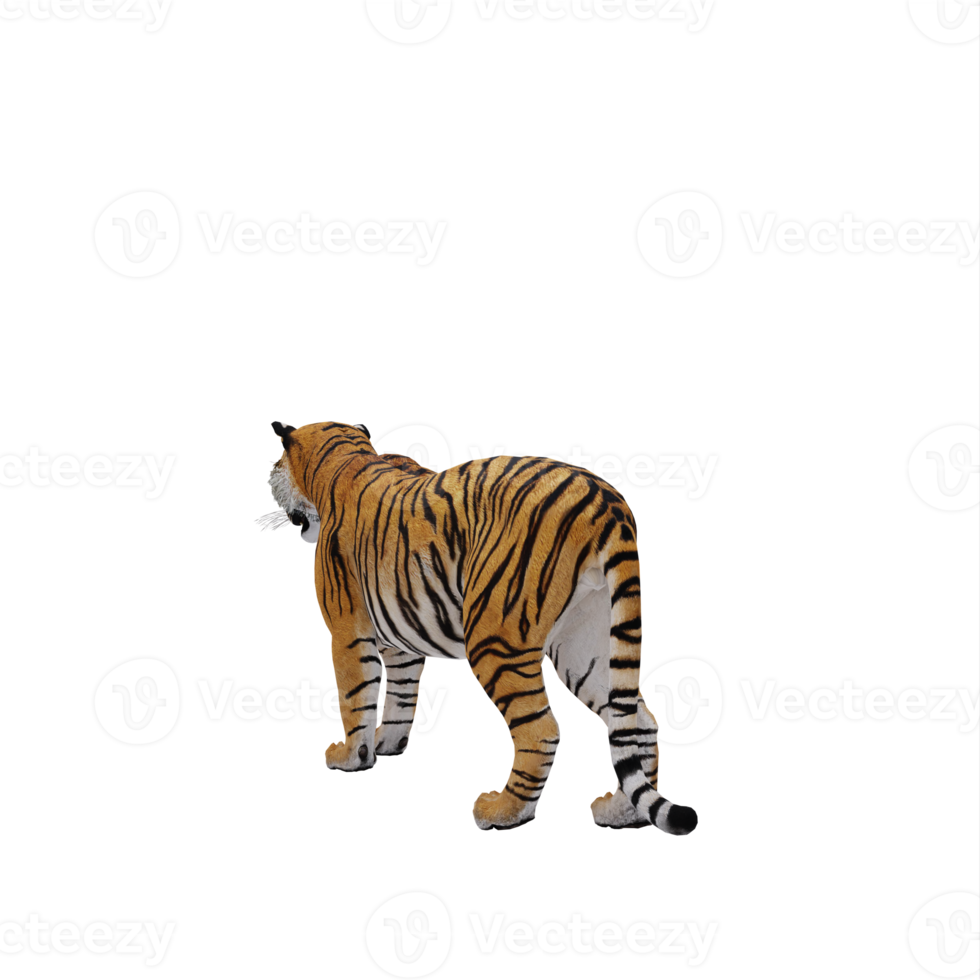 3d tigre isolato png