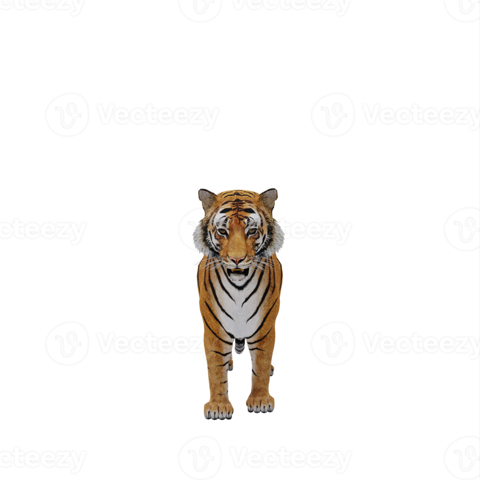 tigre 3d aislado png