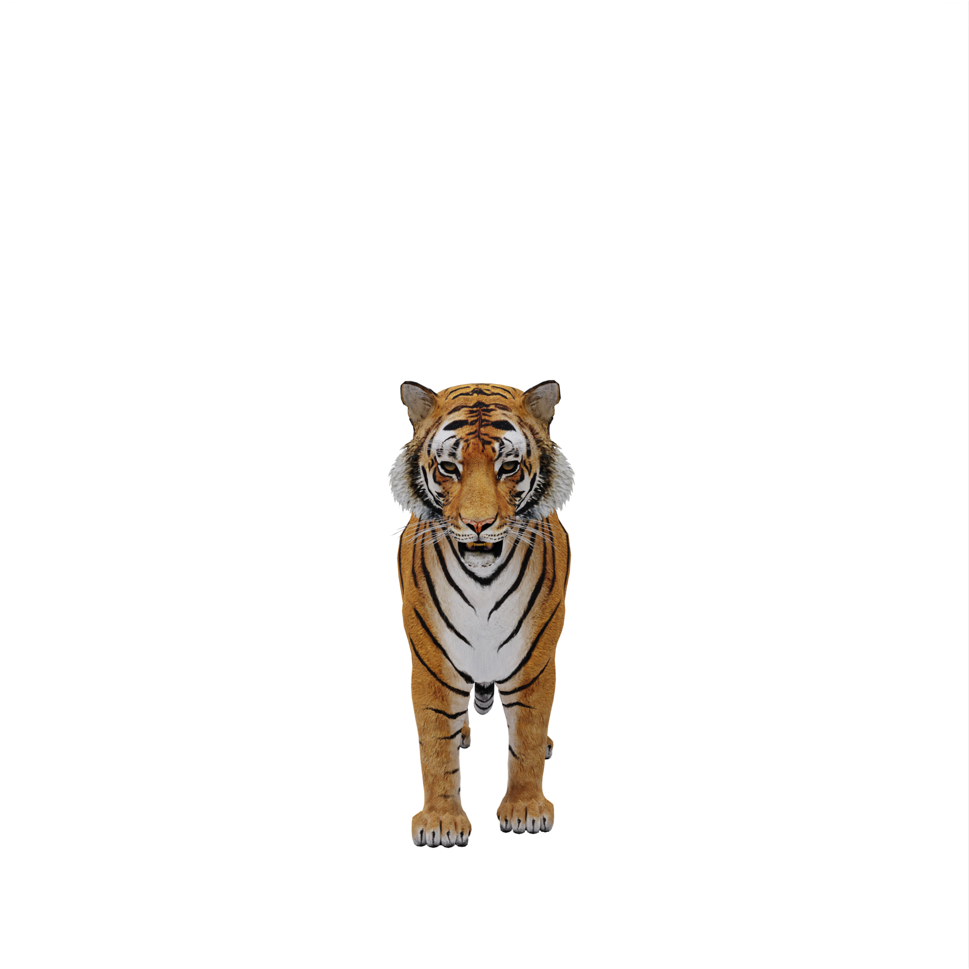 Tiger 3d model illustration 10922194 PNG