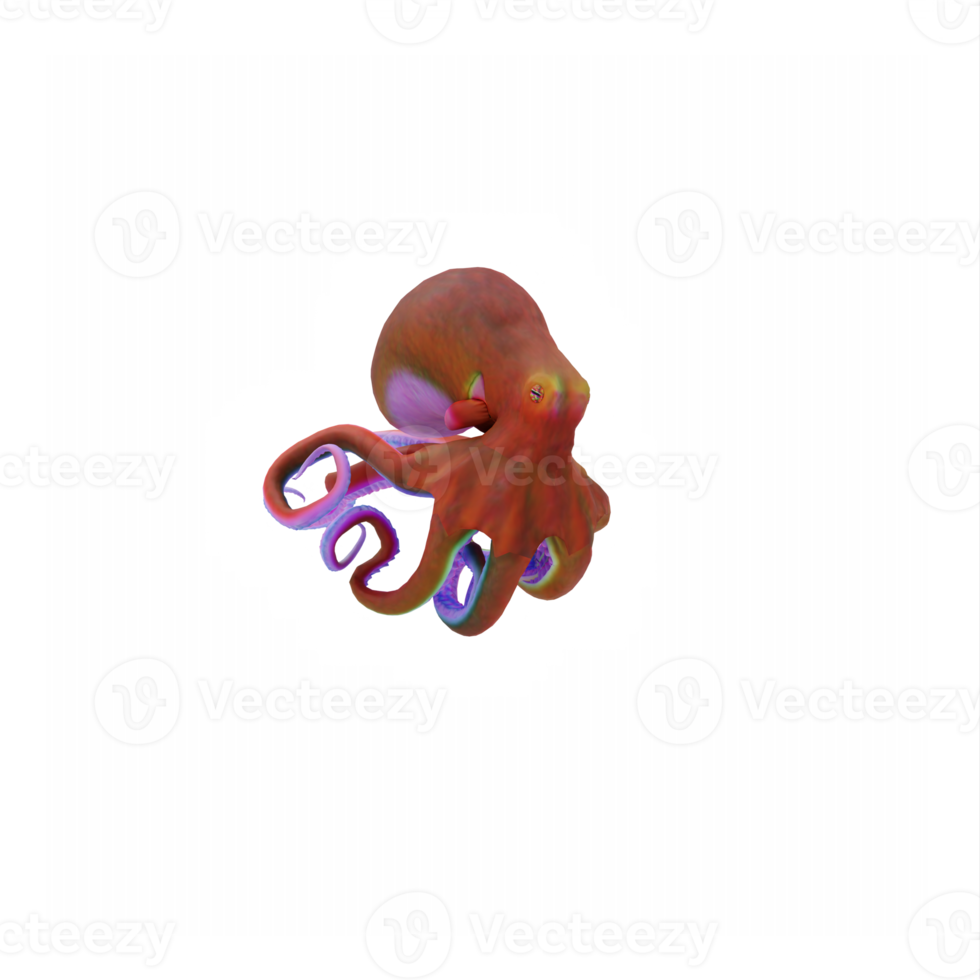 3D-Oktopus isoliert png