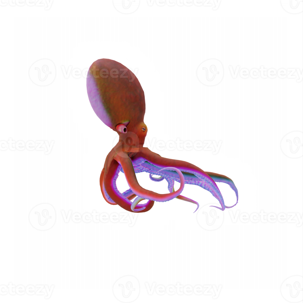 3d OCTOPUS isolated png