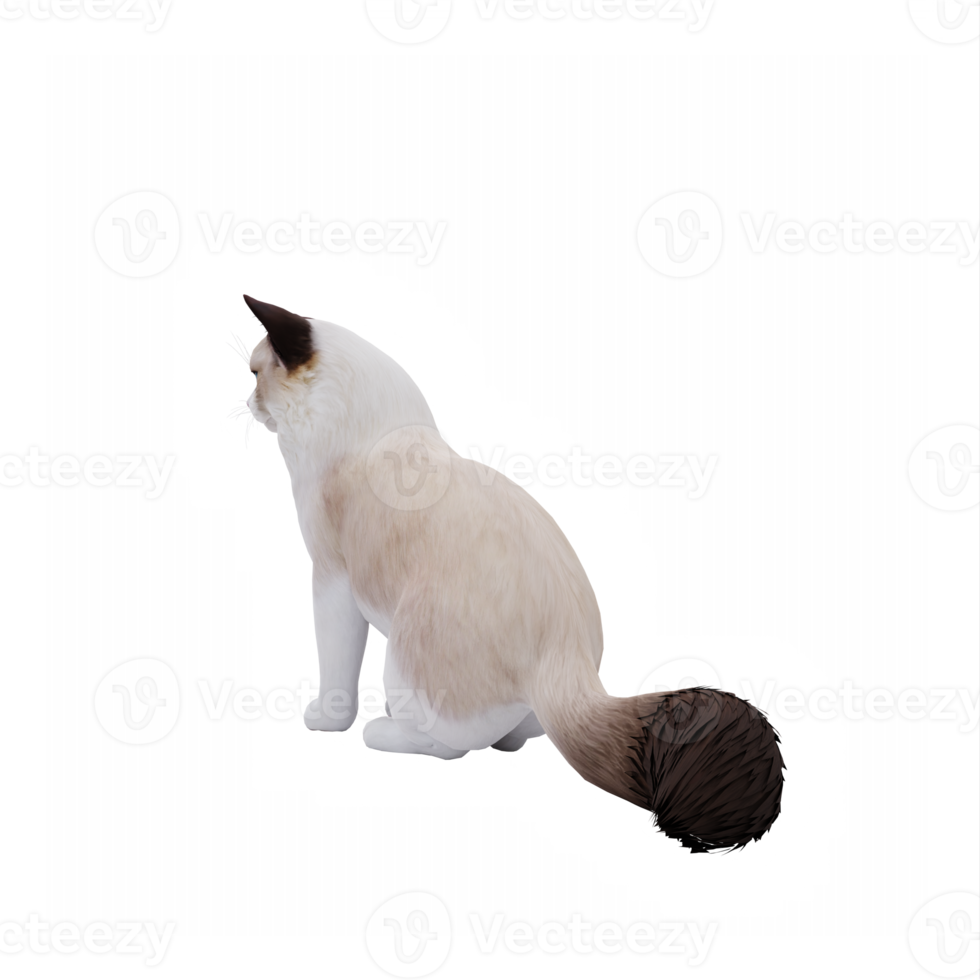 Ragdoll süß Katze png