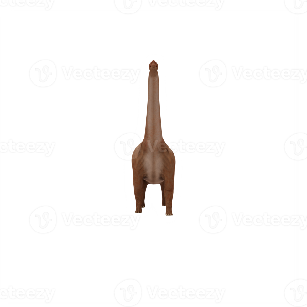 My Image 26