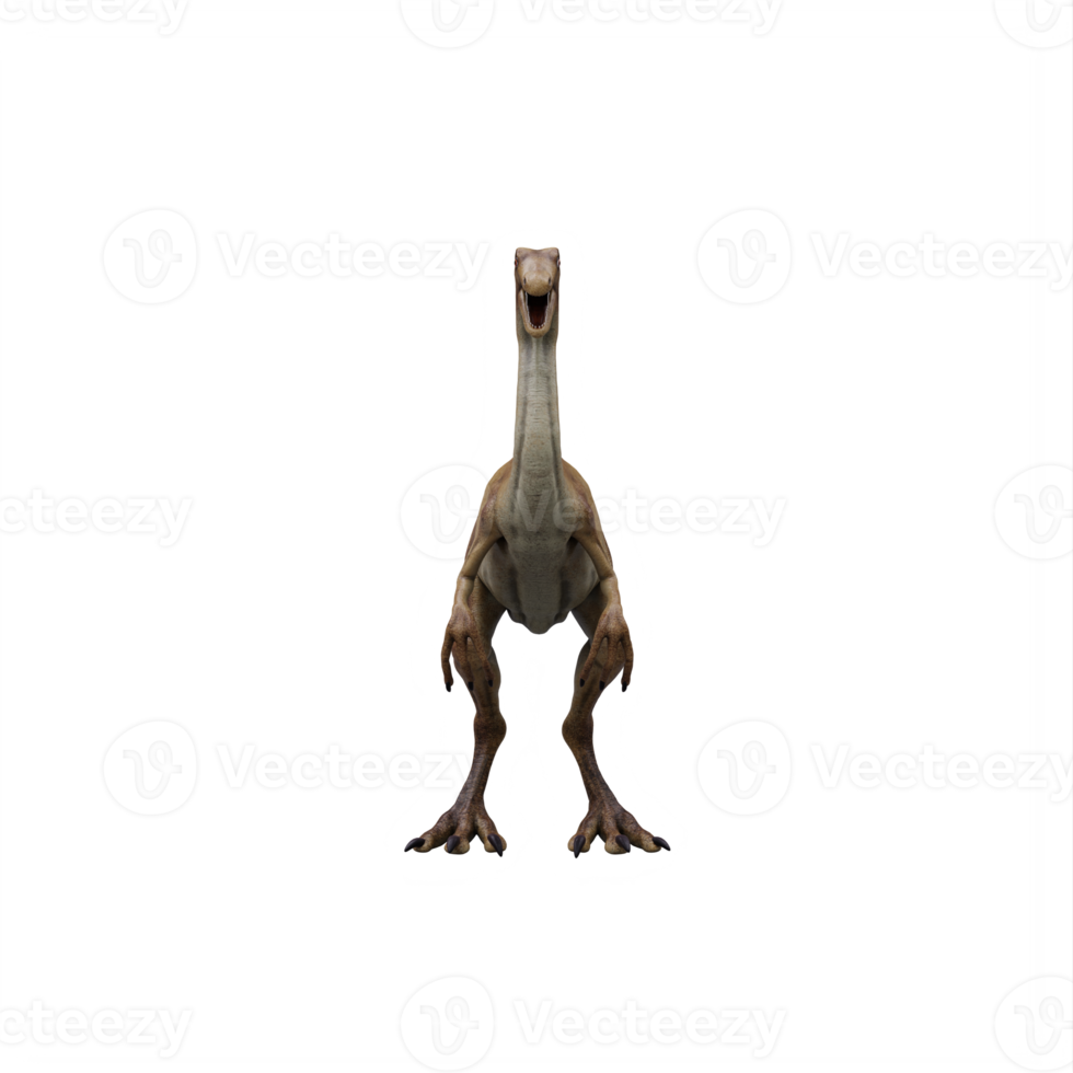 3d gallimimus dinosaur isolated png