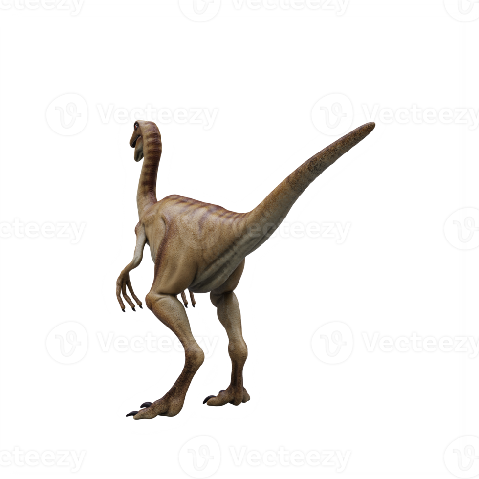 3d gallimimo dinossauro isolado png
