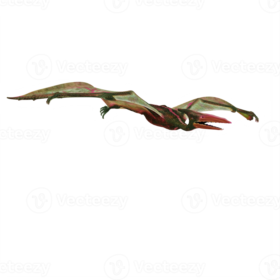 3d Pterodactylus dinosaur png