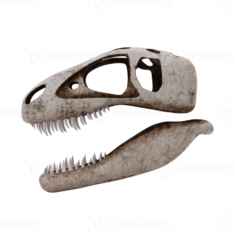 3d trex schedel geïsoleerd png