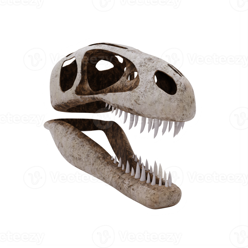 3d trex schedel geïsoleerd png