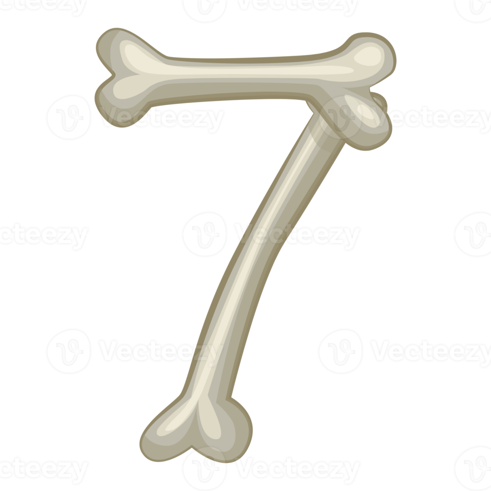 Bone number 7,  digit seven. Cartoon isoled number png